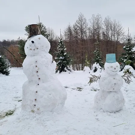 Zlota#208 Zlota (Brzesko)